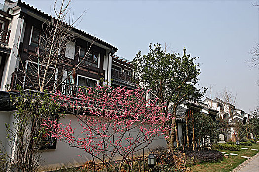 lô đề miền nam