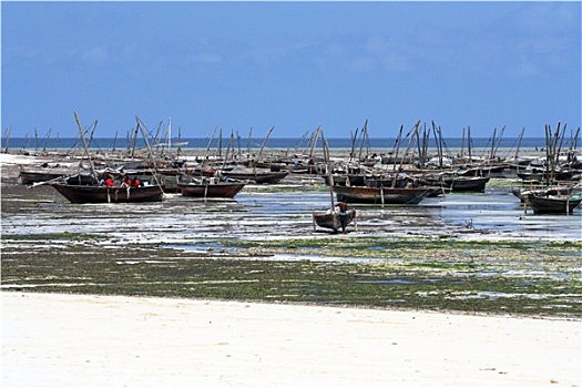 soi cầu du đoán xs gia lai