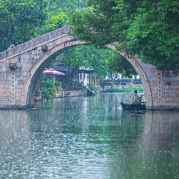 bạch thủ lô miền bắc