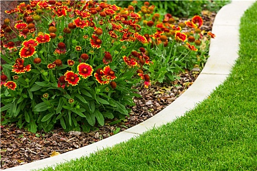 cầu vip miền bắc