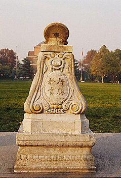 dàn lô đẹp hôm nay
