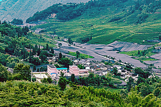 soi cầu bạch thủ 286