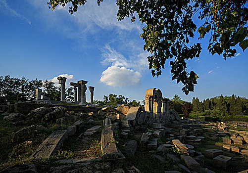 cau bach thu kep