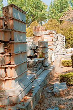 soi cau bach thu