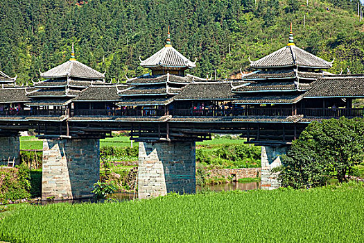xổ số vĩnh long tuần rồi