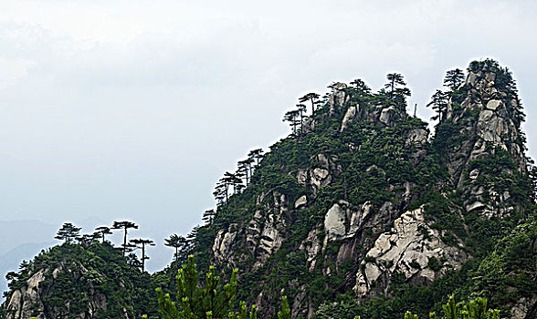 thống kê xổ số đồng tháp