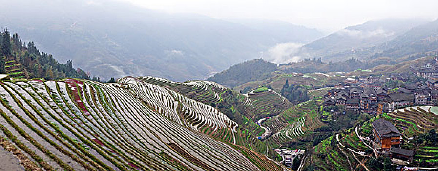 xs hậu giang