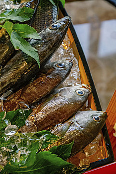 xổ số ngày
