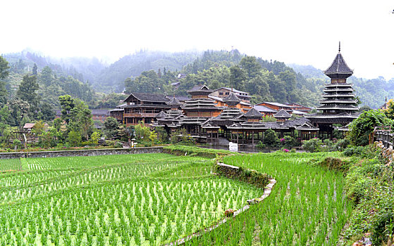 xổ số miền bắc hàng tháng