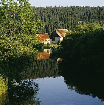 xs3dai