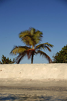 soi lô miễn phí