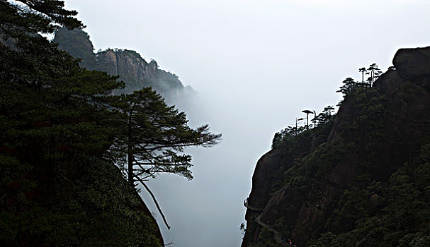 dự đoán mn