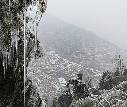 soi cau du doan xsmb win2888