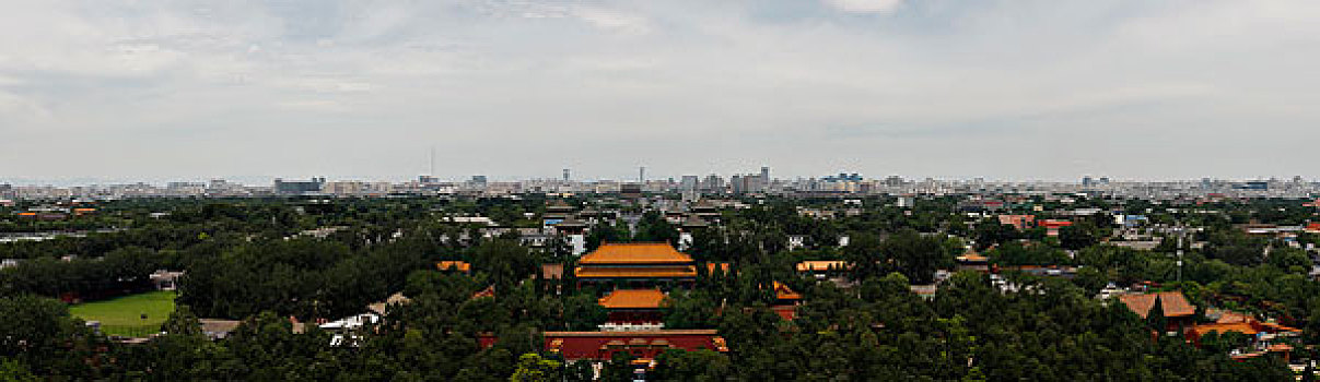 rong bach kim 666 hom nay