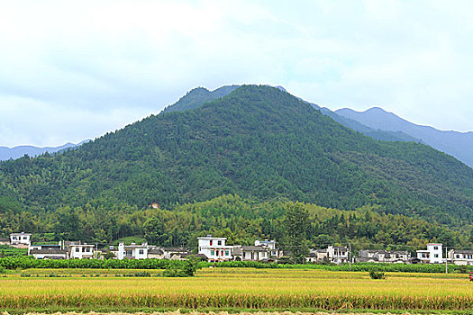kqxs soi cầu thống kê