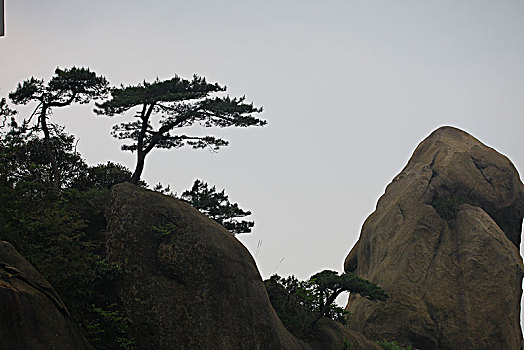 4 số vip