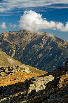 cau lô