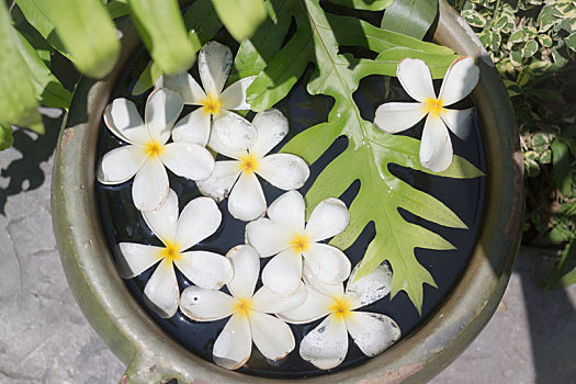 soi cầu lô đề bạch thủ hôm nay