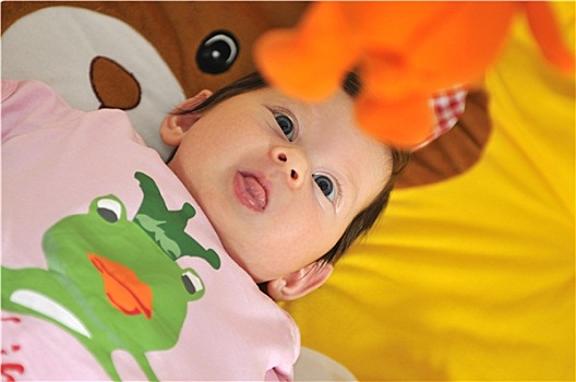 soi cầu bạch thủ lô kép