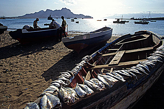 phân tích lô bạch thủ