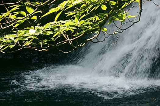 xổ số ninh thuận