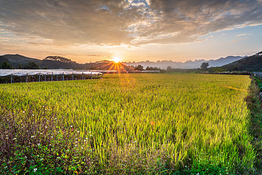 kết quả vietlott