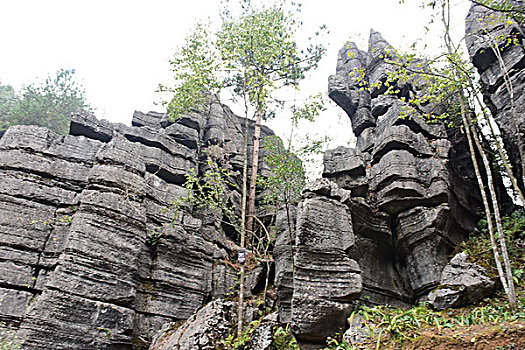 xosobinhduong