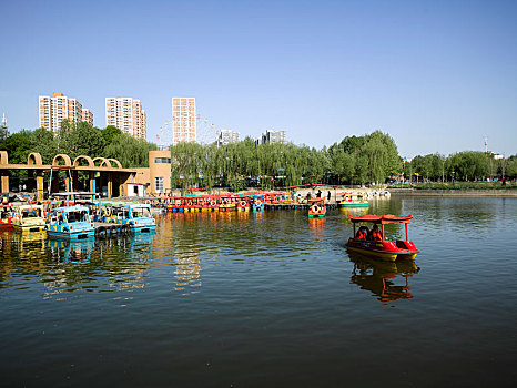 soi cau 6161