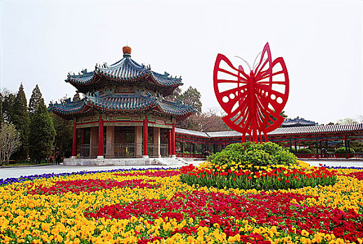 bạch thủ miền bắc