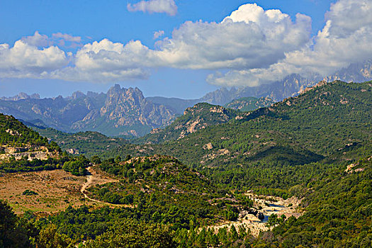 soi cau lo ve ca cap