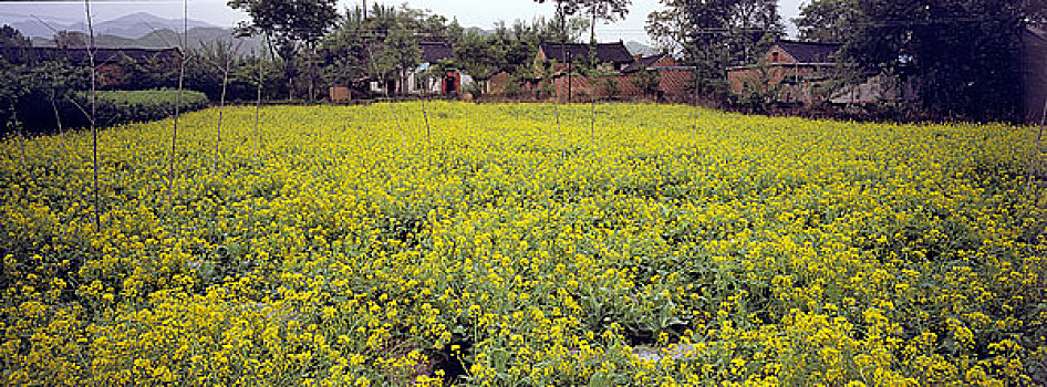 soi cầu mb hom nay