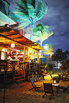 soi bạch thủ