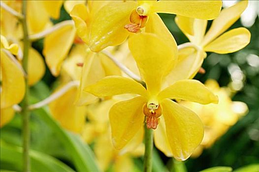 xổ số cần thơ hàng tuần