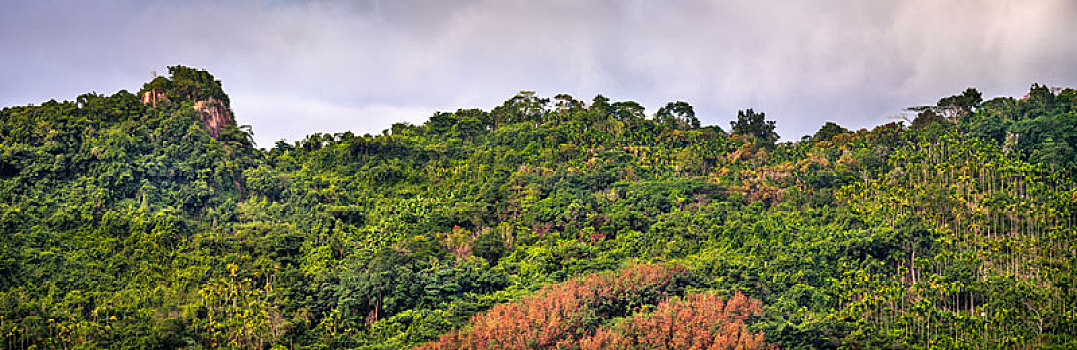 số đồng nai