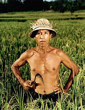 kết quả xổ số thần tài