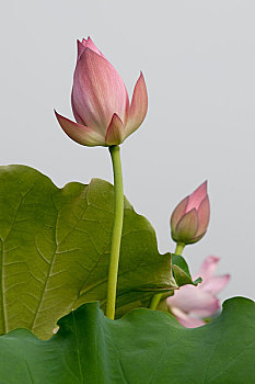 thống kê đặc biệt theo tuần