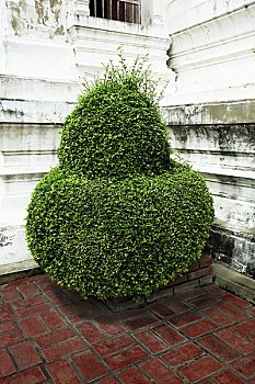 số miền bắc trực tiếp