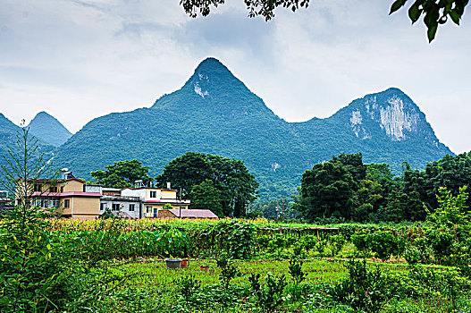 soi cau chuan mb