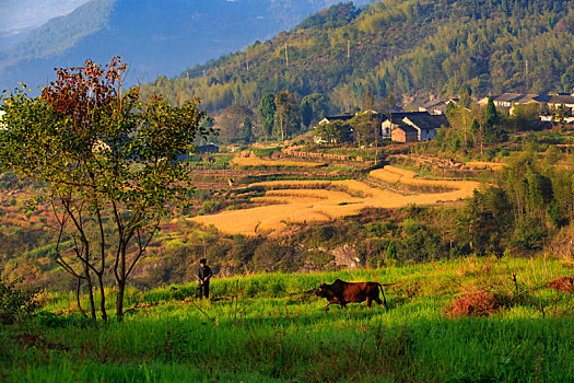 du doan xs 3 mien bac trung nam