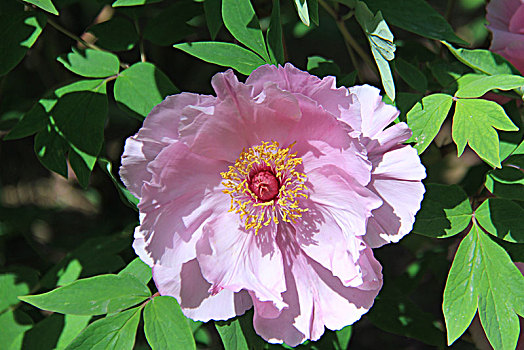 số lô đẹp hôm nay