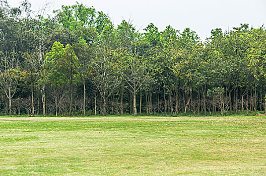 soi cầu xổ số kiên giang