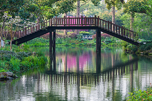 soi cau xs minh ngoc