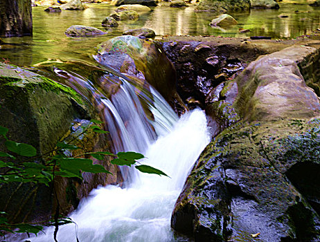 soi cau hau giang