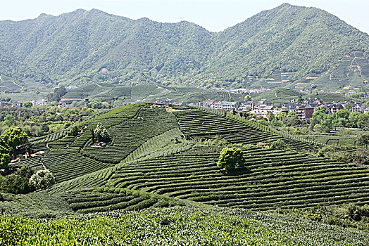 choi lo de luon thang