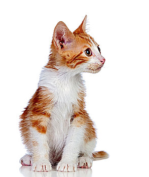 xổ số thứ tư tuần trước