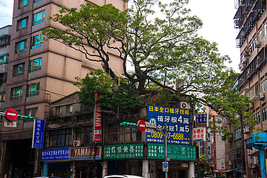 thống kê xsmb hom nay