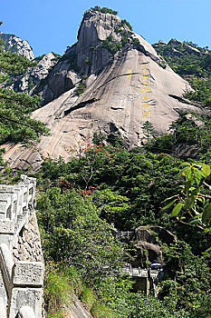 hôm nay bạch thủ con gì