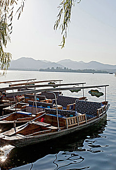 soi cau bach thu mien bac hom nay