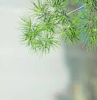 quay thu xsmn 666