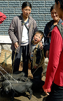 xổ số miền nam bữa nay